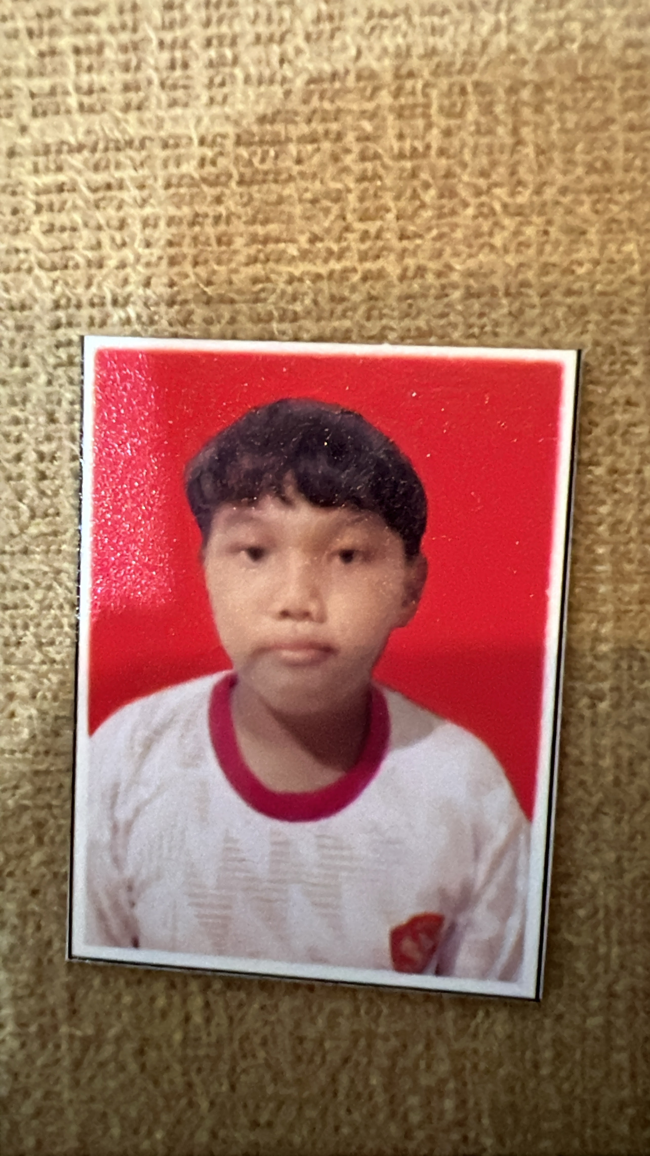 Pranaja nur hamiz