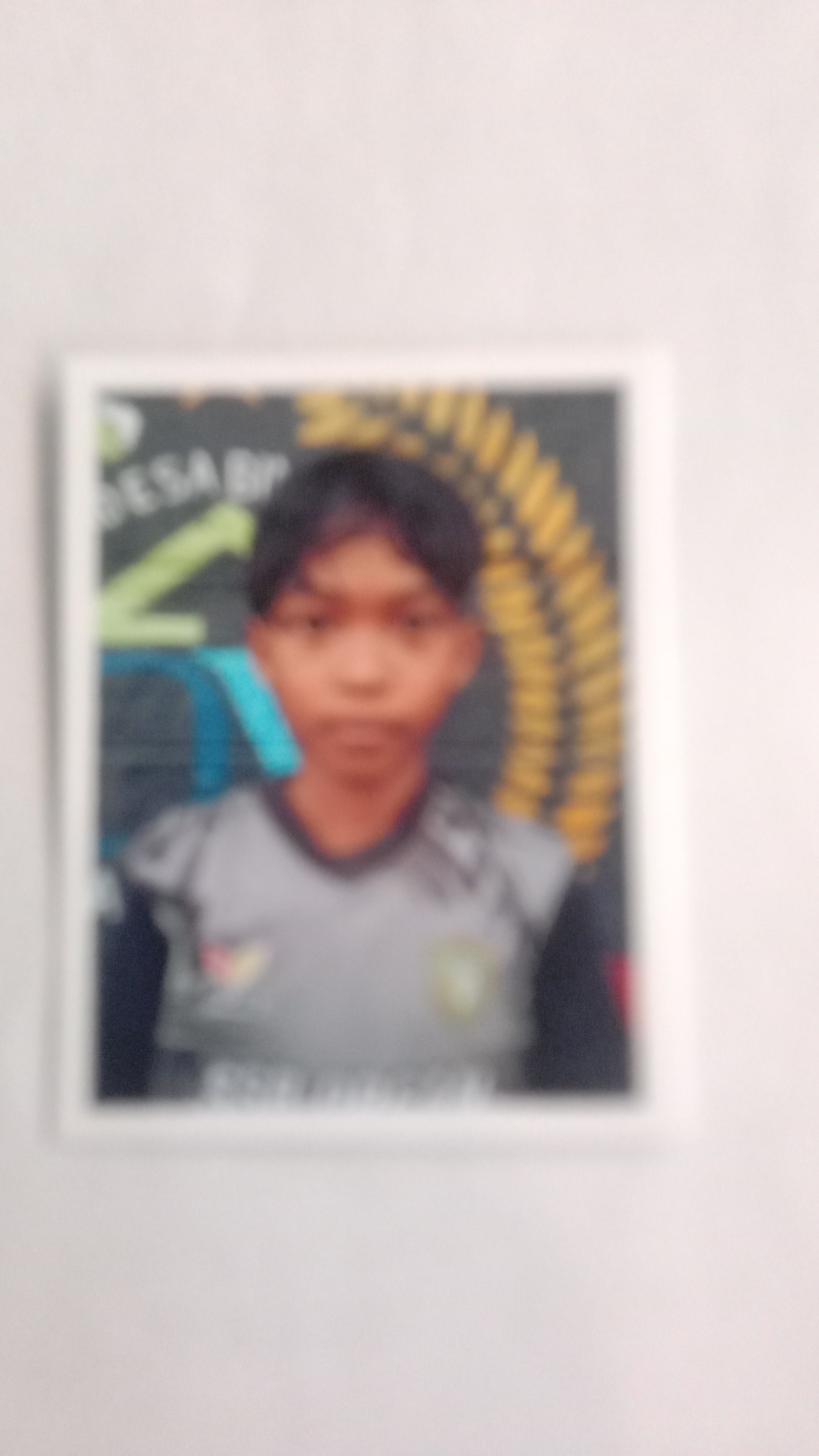MUHAMMAD HAFIZH PUTRA THAMA