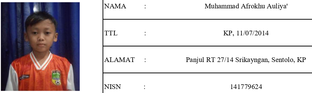 Muhammad Afrokhu Auliya