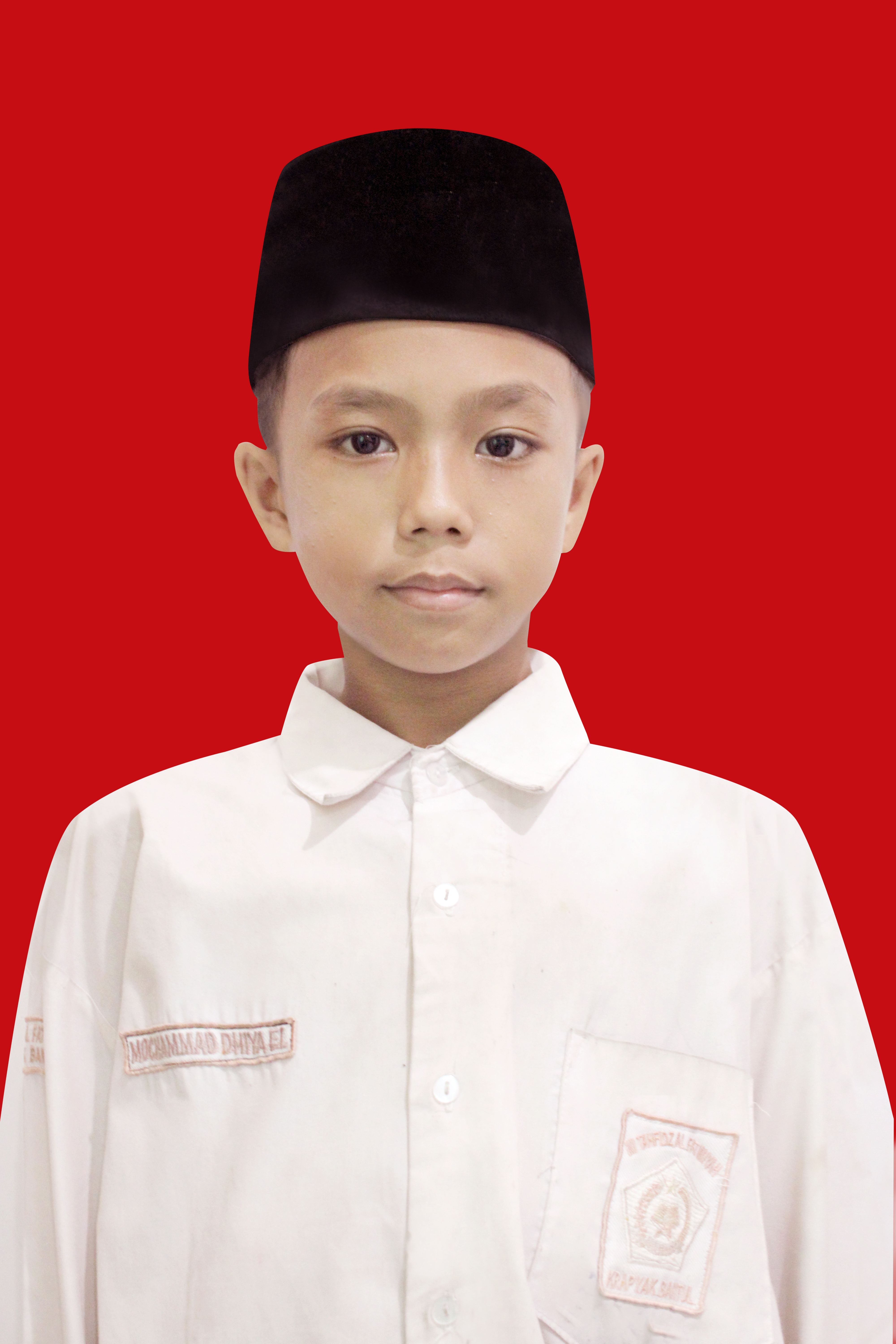 Mochammad Dhiya El Aulia