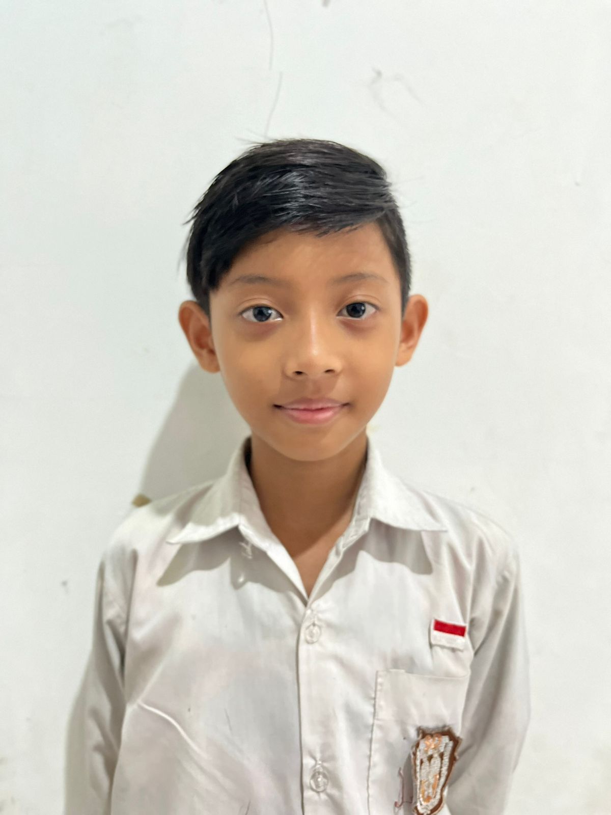Mikael Bara Ardani