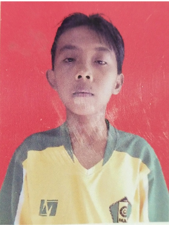 Visnu Pratama Saputra