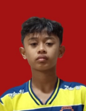Erlangga Satria Maulana