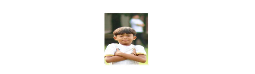 Devandra Vinesh Hardiyanto