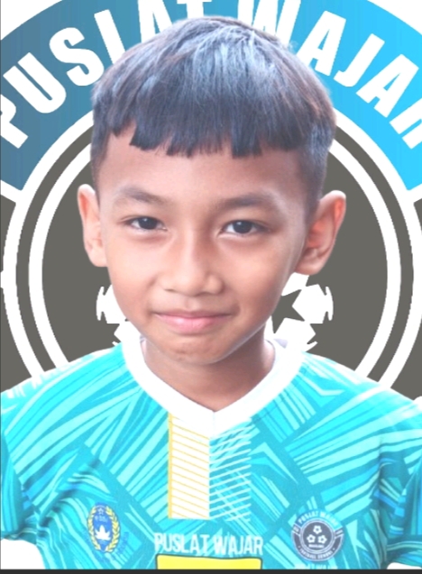 Nizam Alfarizi