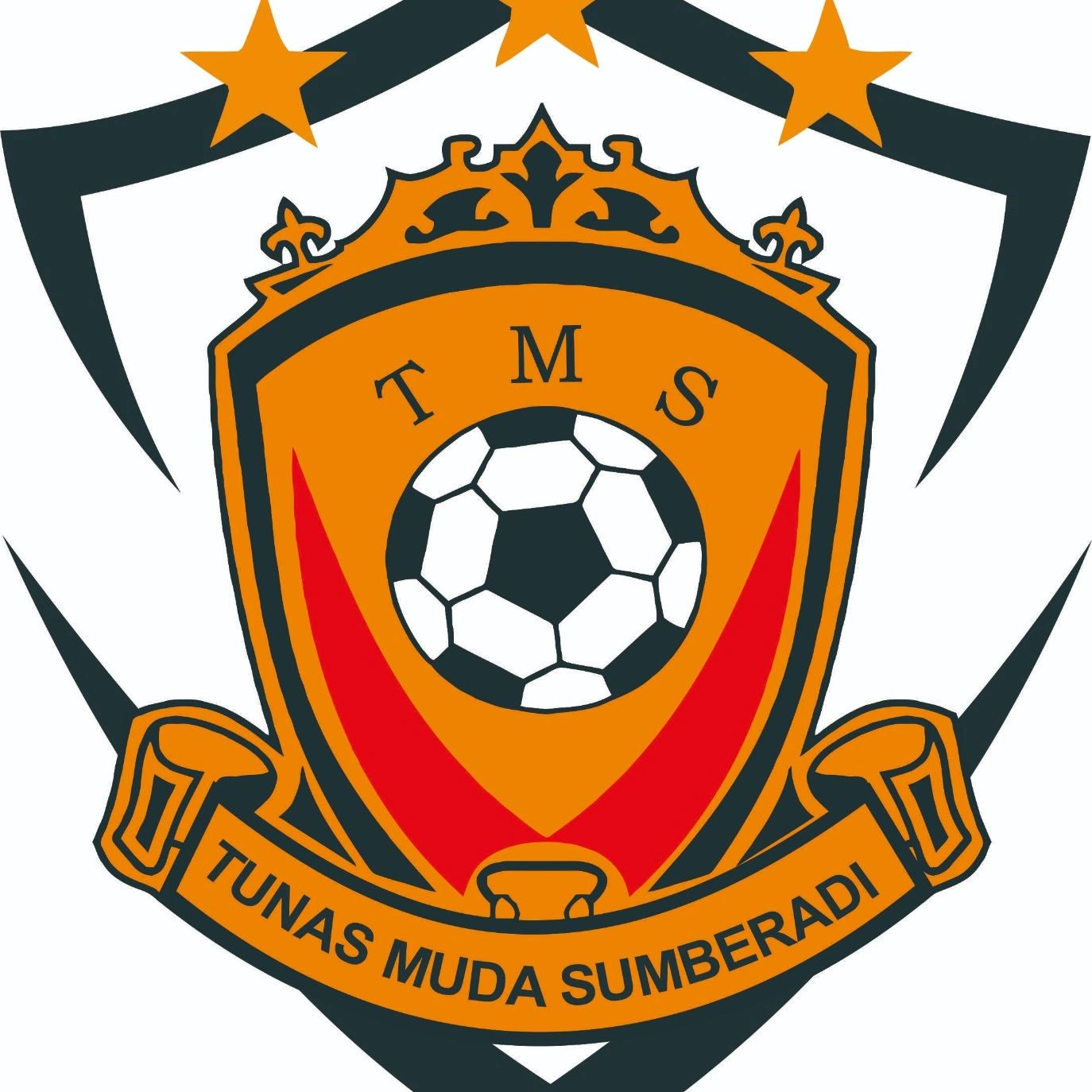 Logo SSB TMS